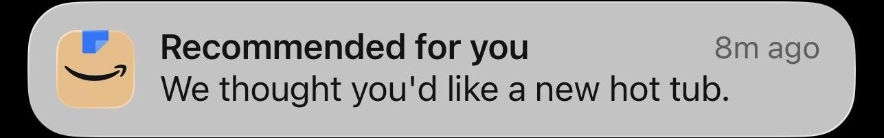 Screenshot of Amazon app notification: “Recommended for you
We thought you'd like a new hot tub”